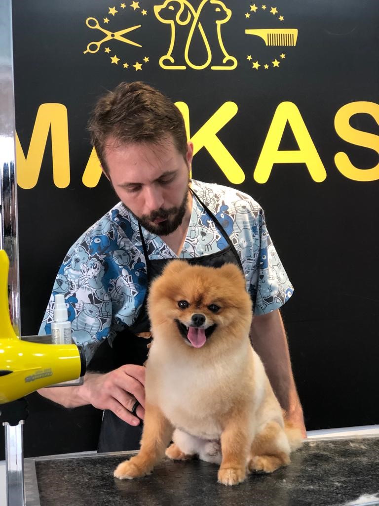 etiler kopek kuafor tirnak kesimi